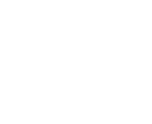 Personal Data Security Icon